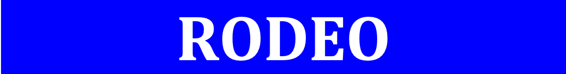 Logo marque Rodeo
